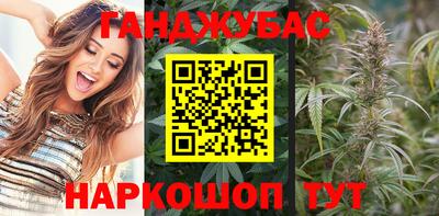 стафф Пенза