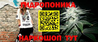 стафф Пенза